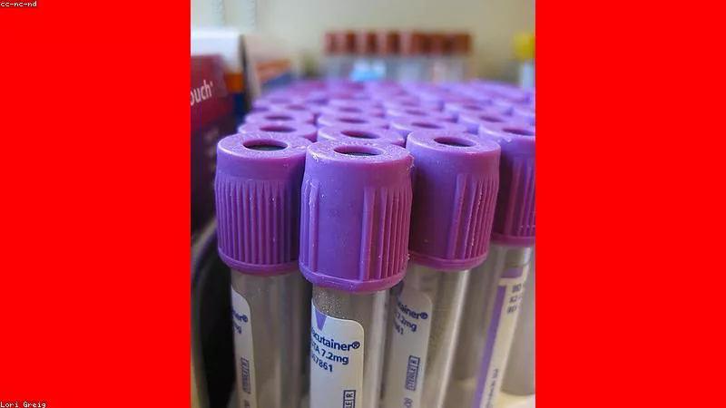 Phân tích y khoa hình ảnh Sự nguy hiểm khi phụ nữ mang thai tự ý uống nước lá cây lạ
